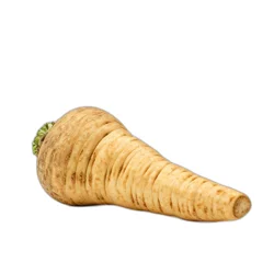 Parsnip