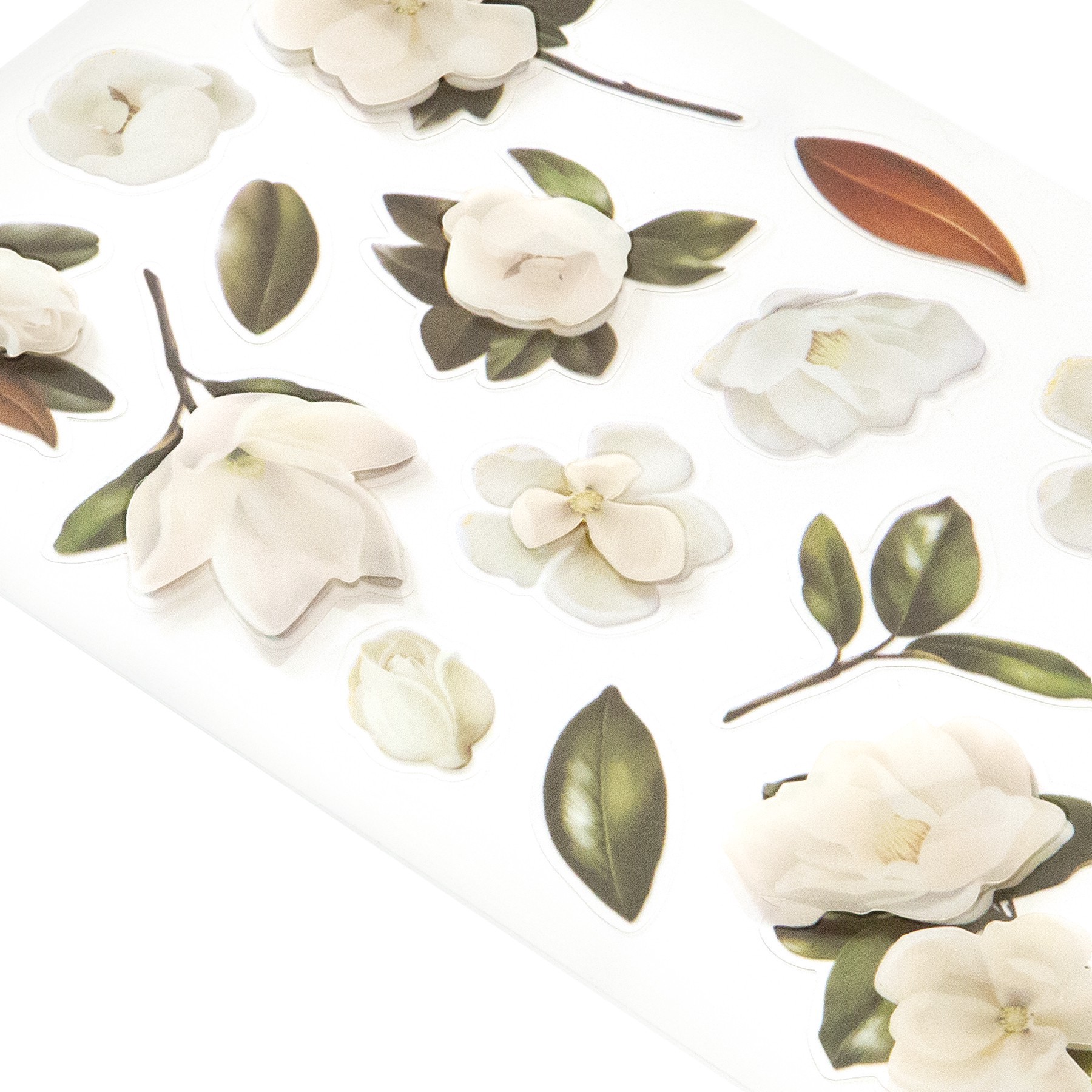 slide 5 of 5, Magnolia Dimensional Stickers By Recollections, 3.87 in x 7 in