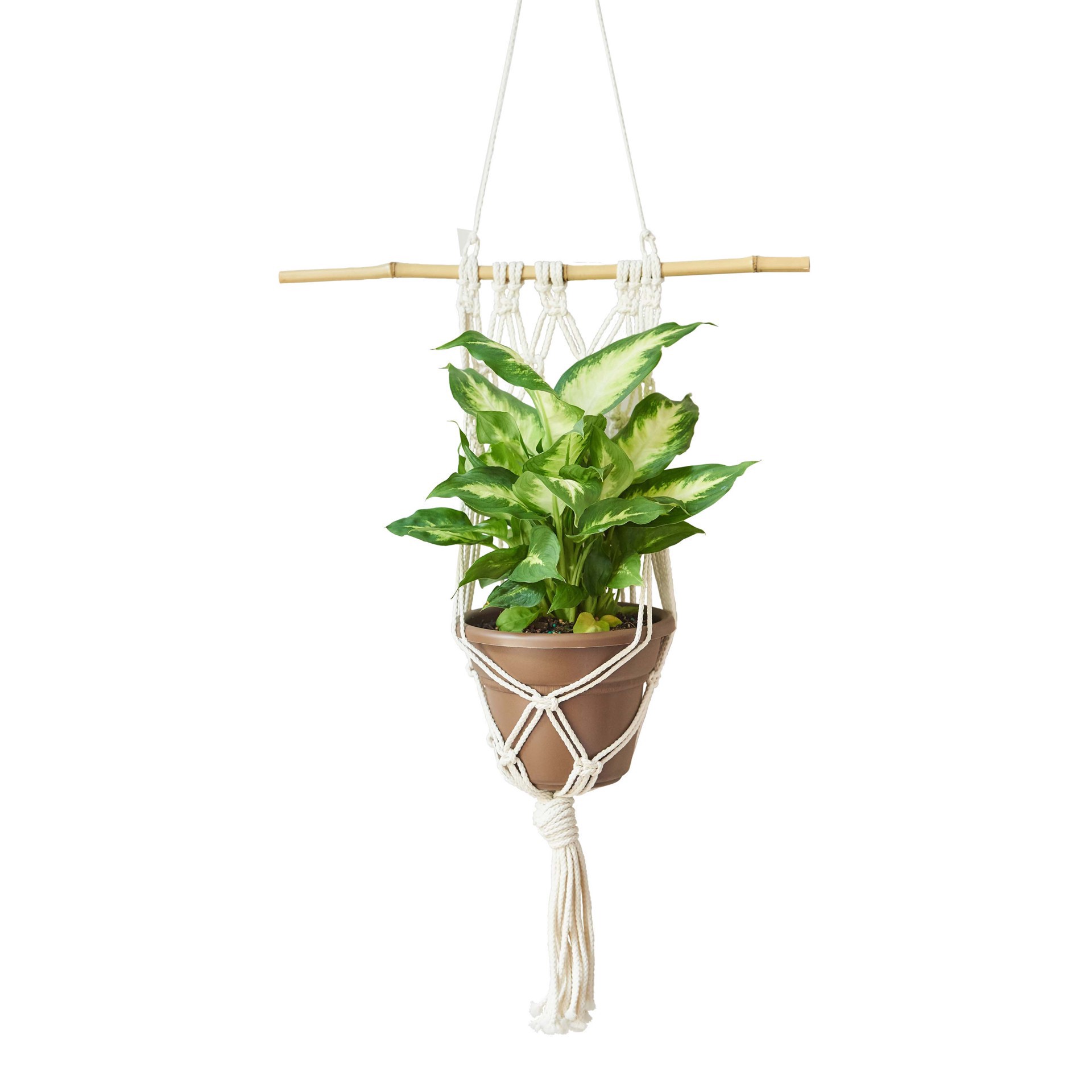 slide 4 of 4, 6mm Heat Fusible Macrame Cord By Loops & Threads, 100 yd