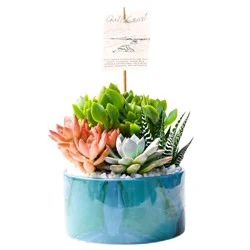 Western Cactus Regional Garden