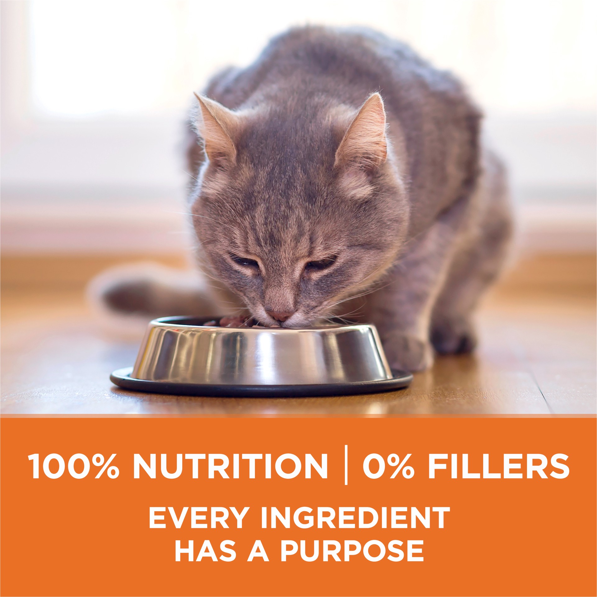 slide 8 of 9, Purina ONE Healthy Metabolism Adult Premium Cat Food, 3.5 lb