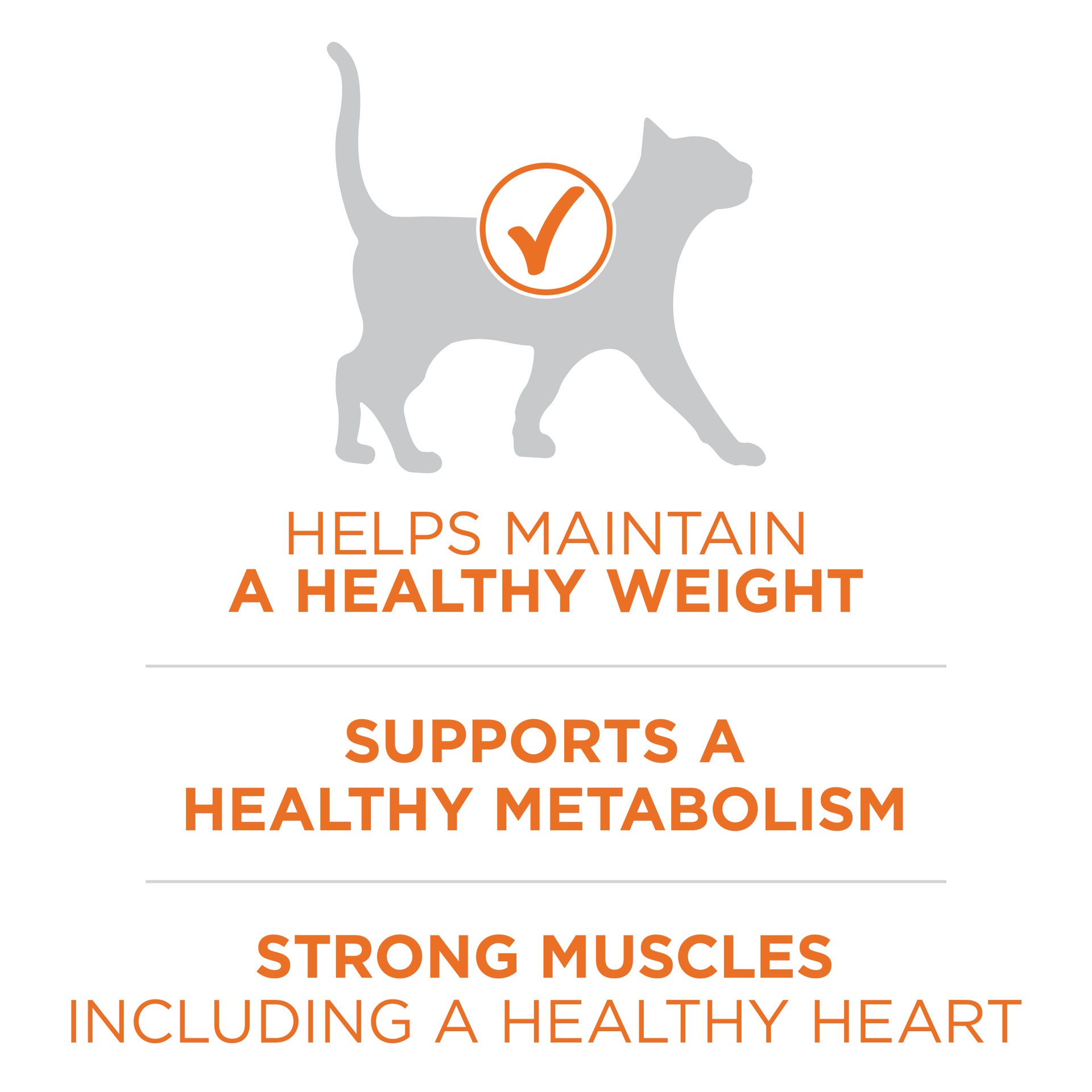 slide 5 of 9, Purina ONE Healthy Metabolism Adult Premium Cat Food, 3.5 lb