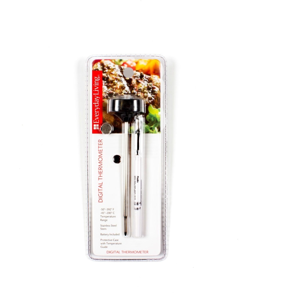 slide 1 of 1, Everyday Living Instant Digital Thermometer - Silver, 1 ct