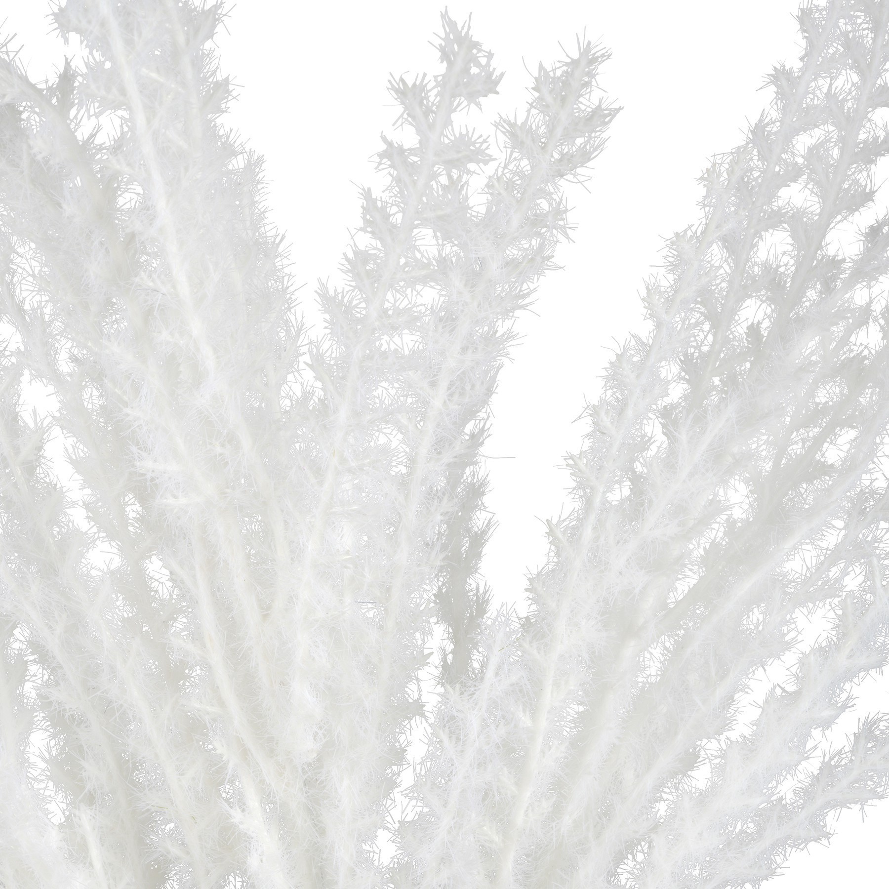 slide 2 of 2, 31" White Pampas Grass Stem By Ashland, 31 in