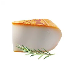 Wbc Gouda Honeybee Goat Nl
