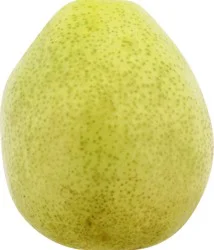 Anjou Pear 1 ea