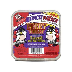 C&S Berry Treat Suet Cake For Wild Birds