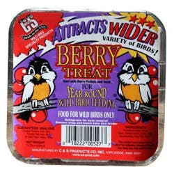 C And S Berry Treat Suet Cake For Wild Birds