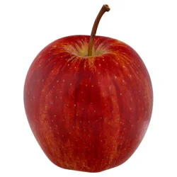 Bostock Apples Gala Organic Prepacked - 3 Lb
