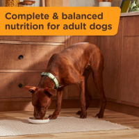 slide 16 of 21, 1/13Oz Rrntsh Gntl Dgstn Lmb Pmpkn Chkn Chnk Grvy, 13 oz