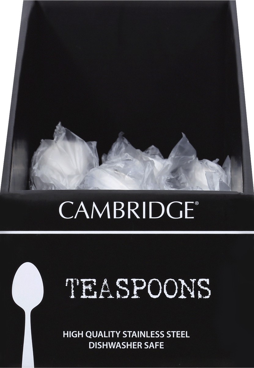 slide 2 of 2, Cambridge Silversmiths Bourne Mirror Teaspoon, 1 ct