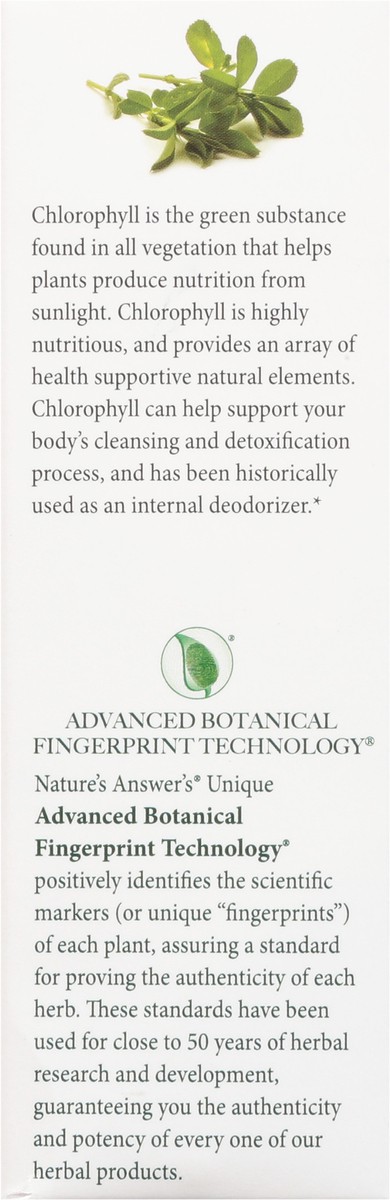 slide 5 of 9, Nature's Answer Alcohol-Free Concentrated Chlorophyll Liquid Drops 2 fl oz, 2 fl oz
