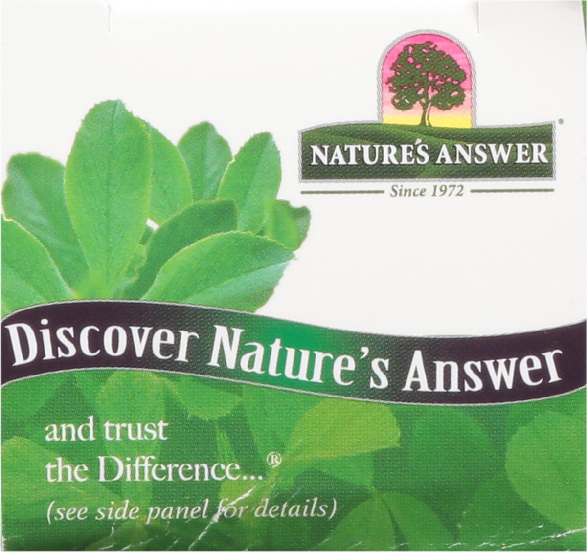 slide 3 of 9, Nature's Answer Alcohol-Free Concentrated Chlorophyll Liquid Drops 2 fl oz, 2 fl oz