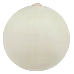 Produce Peeled White Onion