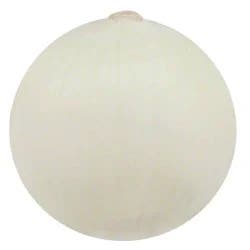 Produce Peeled White Onion