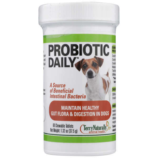 slide 1 of 1, Terry Naturally Probiotic Daily For Dogs, 60 ct