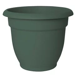 Bloem Ariana Living Green Lg - Ea