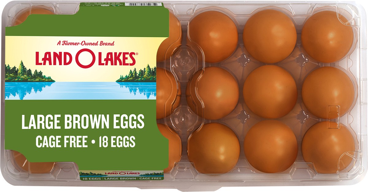 slide 1 of 13, Land O'Lakes Cage Free Brown Eggs Large 18 ea, 18 ct