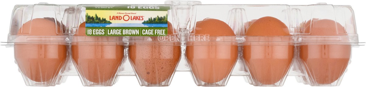 slide 6 of 13, Land O'Lakes Cage Free Brown Eggs Large 18 ea, 18 ct