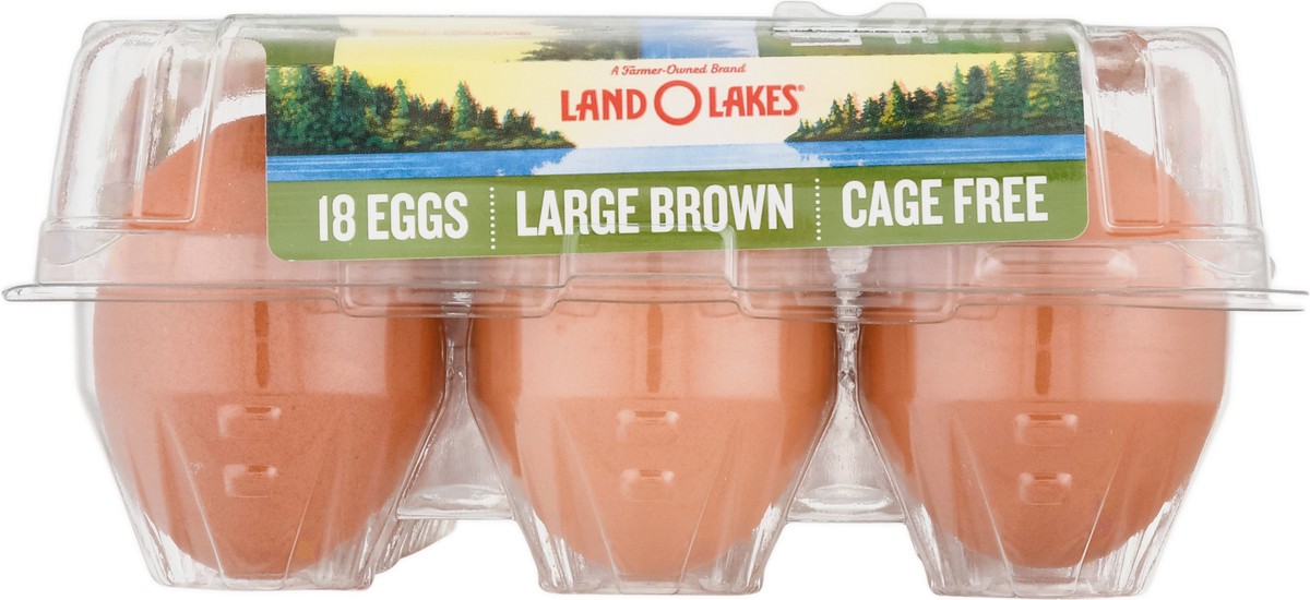 slide 7 of 13, Land O'Lakes Cage Free Brown Eggs Large 18 ea, 18 ct