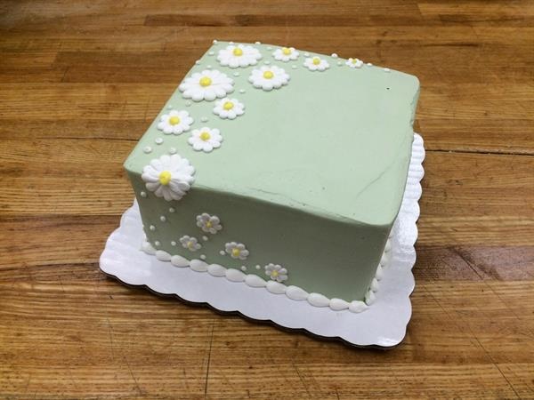 slide 1 of 1, 8 Inch Daisy Sage Cake, 1 ct