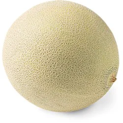 Melon Cantaloupe