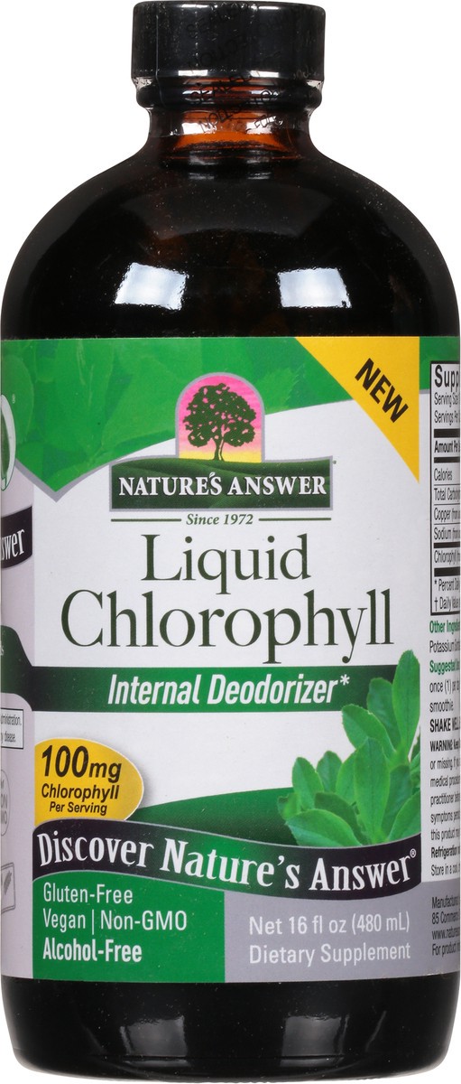 slide 8 of 9, Nature's Answer 100 mg Chlorophyll 16 fl oz, 16 fl oz