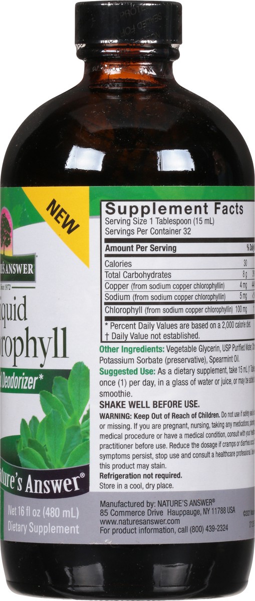 slide 7 of 9, Nature's Answer 100 mg Chlorophyll 16 fl oz, 16 fl oz