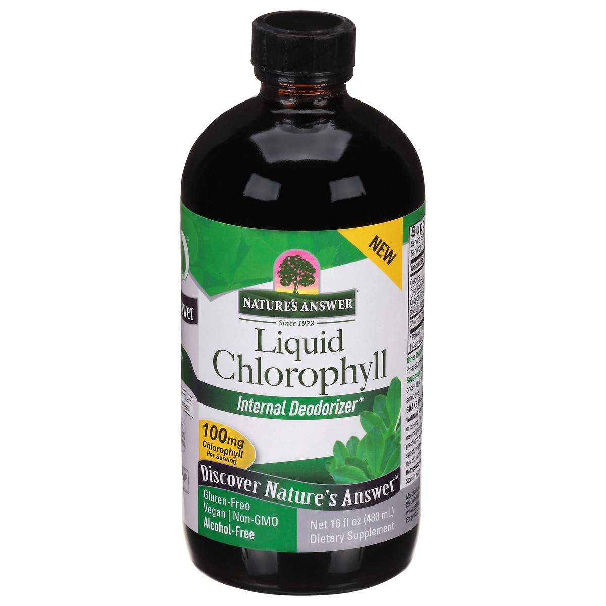 slide 1 of 9, Nature's Answer 100 mg Chlorophyll 16 fl oz, 16 fl oz