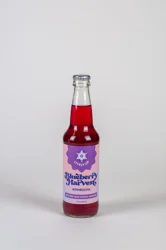 Lively Up Kombucha Blueberry Harvest 12 fl oz