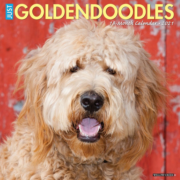 slide 1 of 3, Willow Creek Press Animal Monthly Wall Calendar, 12'' X 12'', Goldendoodles, January To December 2021, 1 ct