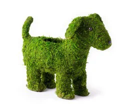 SuperMoss Deco Puppy Planter - 0.8 lb