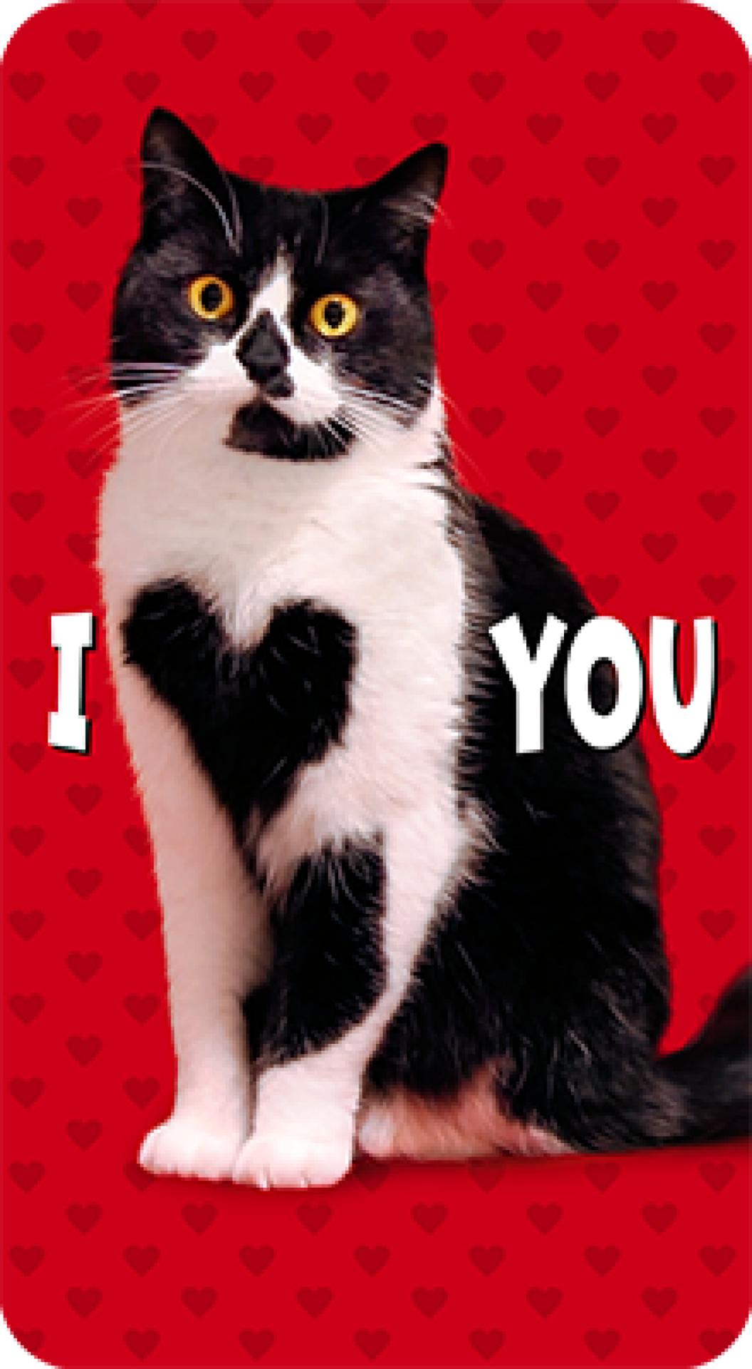 slide 1 of 1, Avanti Cat I Heart You Card, 1 ct