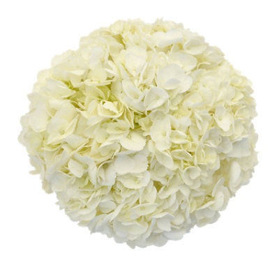slide 1 of 1, Debi Lilly Design Hydrangea 3 Stems - colors may vary, 3 stems