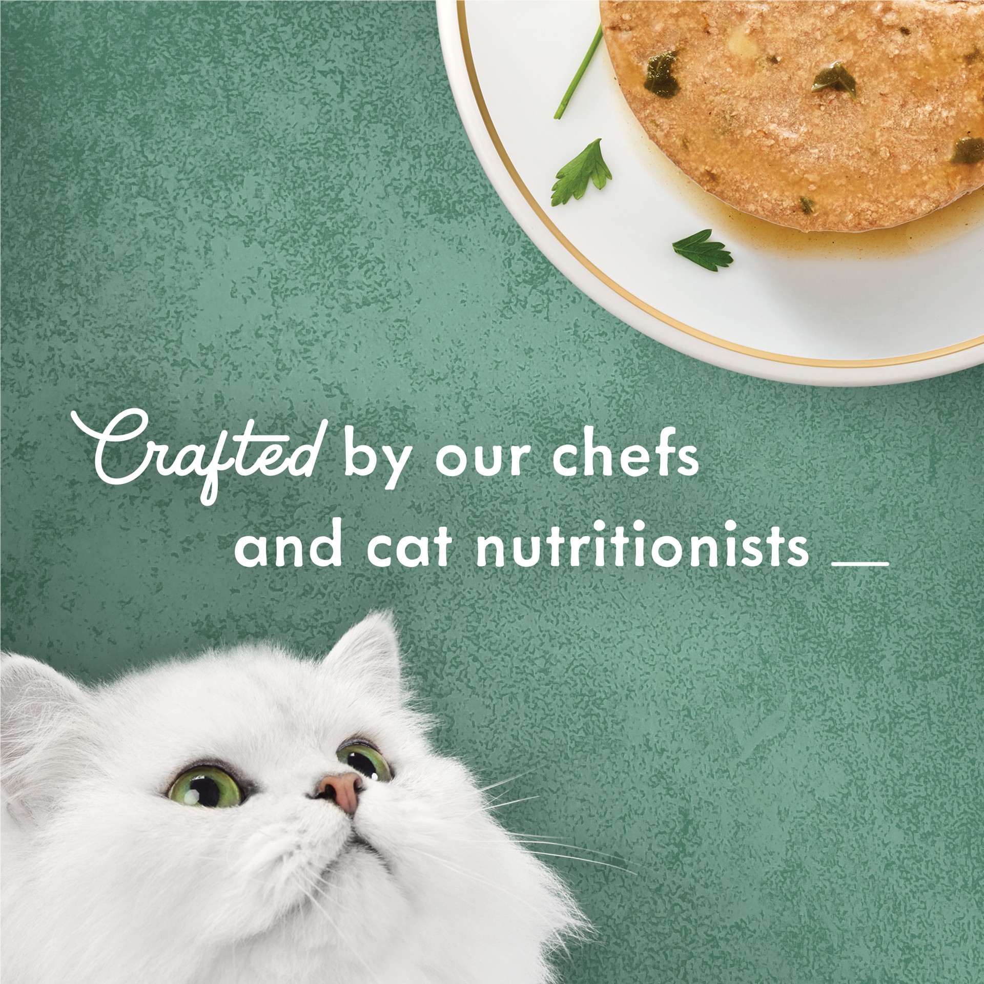 slide 2 of 6, Fancy Feast Medleys White Meat Chicken Florentine Pate Cat Food, 