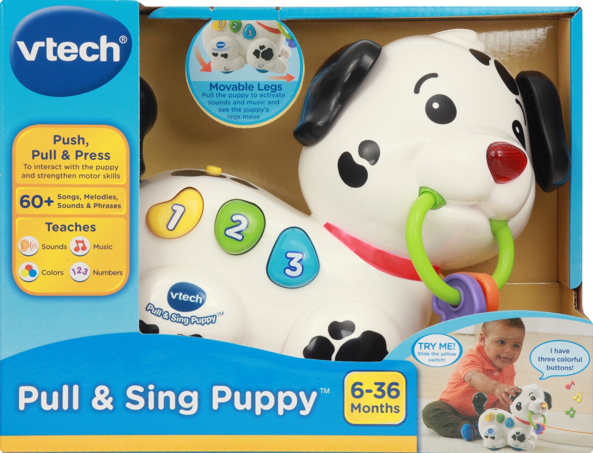slide 6 of 9, VTech 6-36 Months Pull & Sing Puppy 1 ea, 1 ct