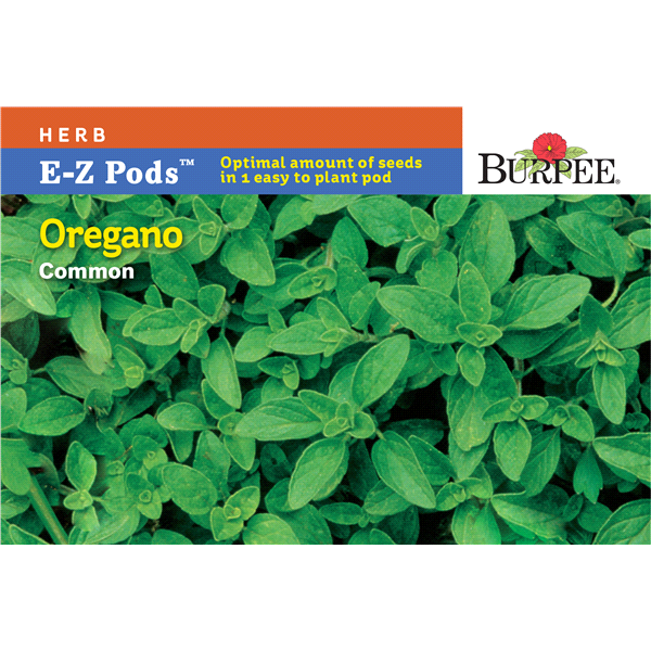 slide 1 of 1, Burpee Simplysalad Oregano, 1 ct