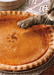 Avanti Thanksgiving Pumpkin Pie Paw Print