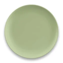 Tarhong Wheat Polypropylene Dinner Plate, Celery