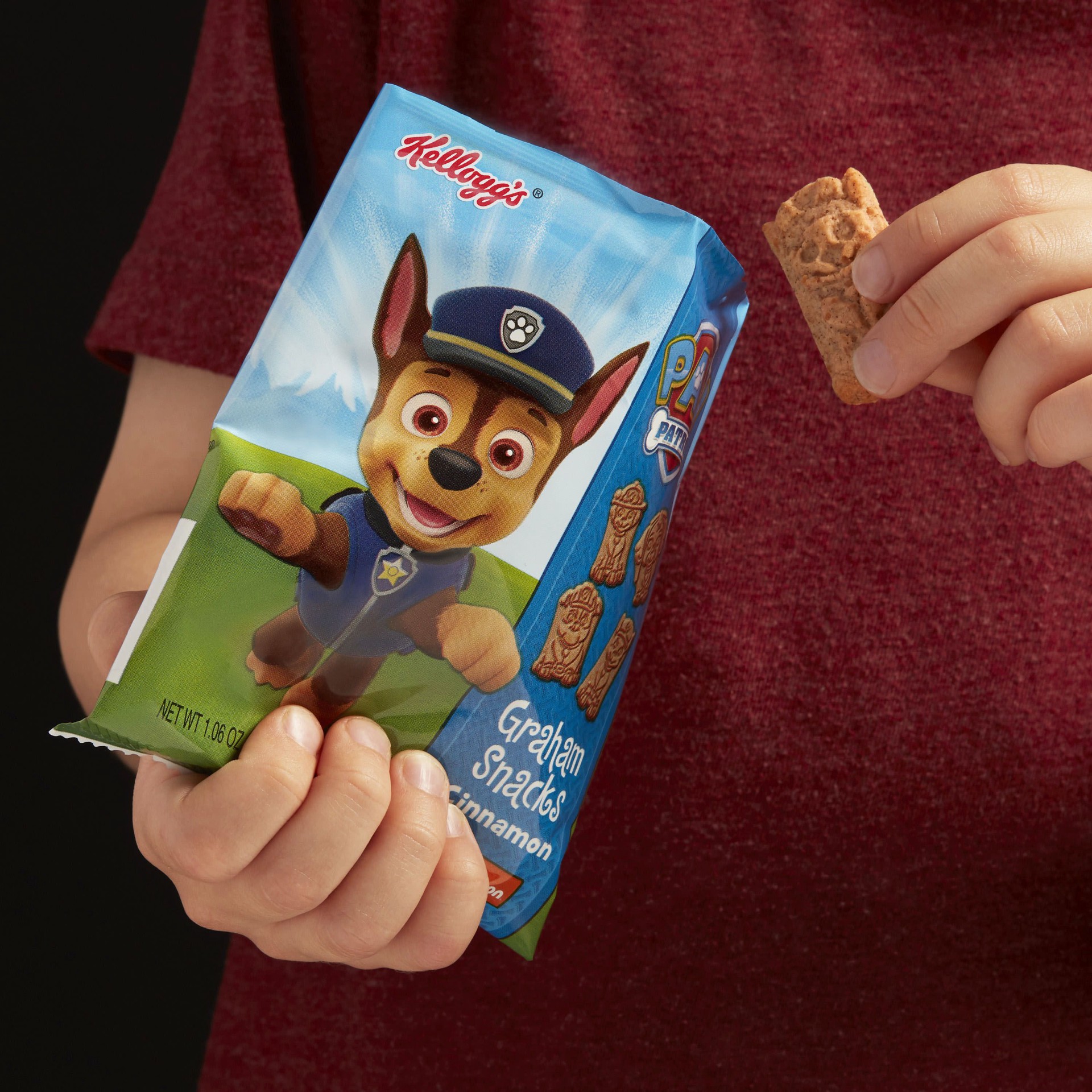 slide 2 of 5, Kellogg's Paw Patrol Cinnamon Graham Snacks 12 ea, 12 ct