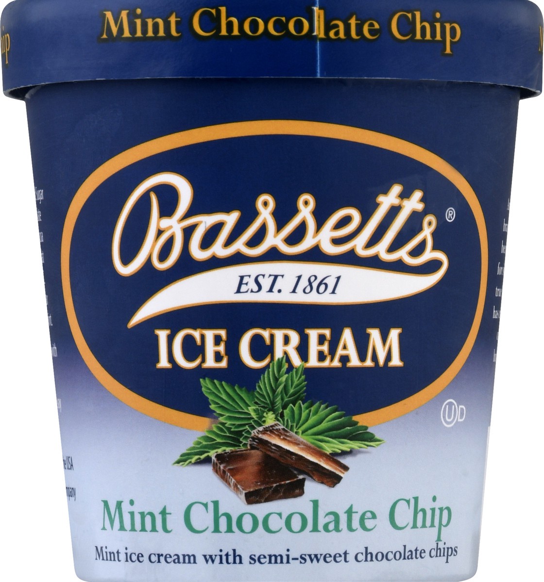 slide 1 of 13, Bassetts Mint Chocolate Chip Ice Cream 1 pt, 1 pint
