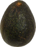 Green Skin Avacados
