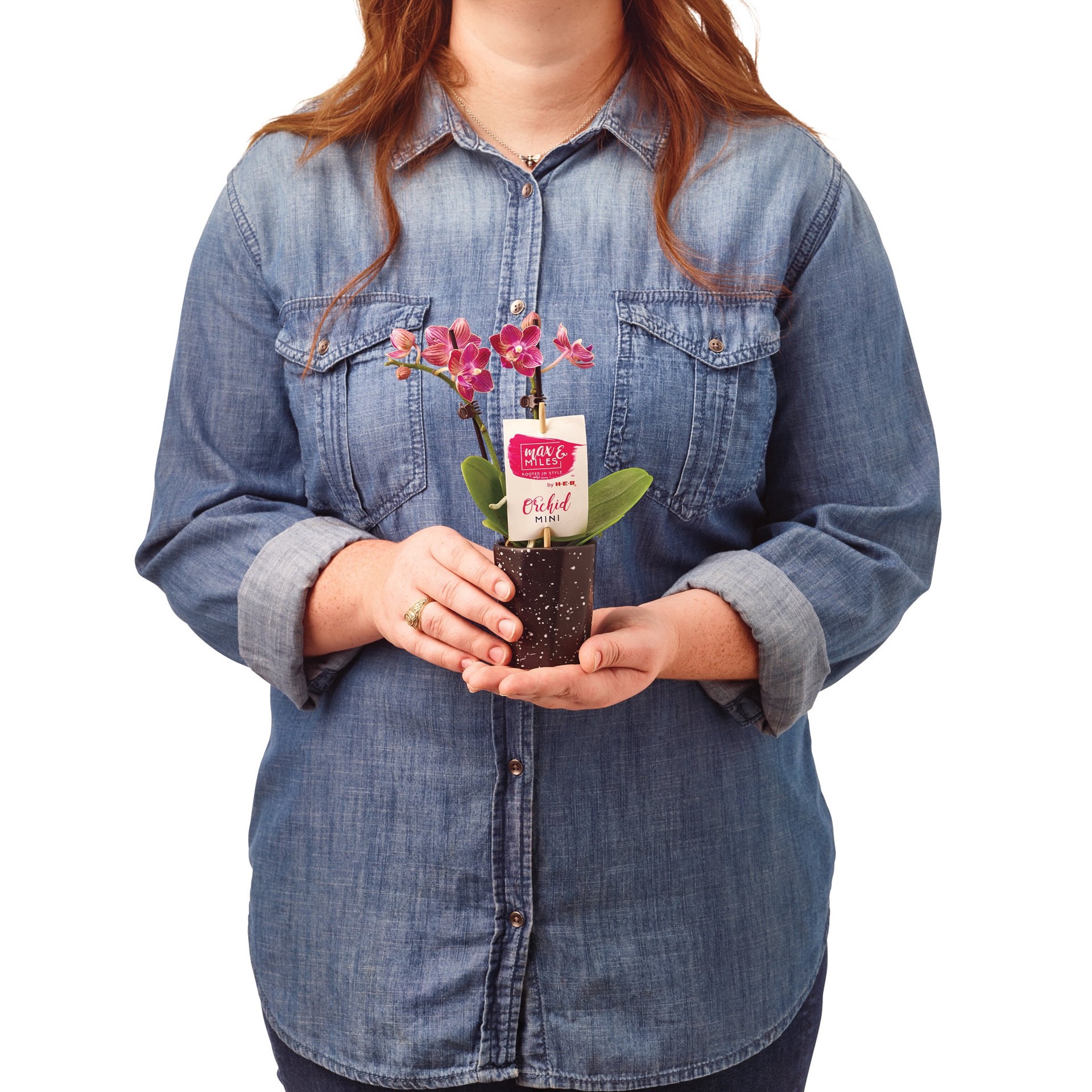 slide 1 of 1, Floral Max & Miles Potted Mini Orchid, 2.5 in