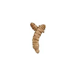 Turmeric Root