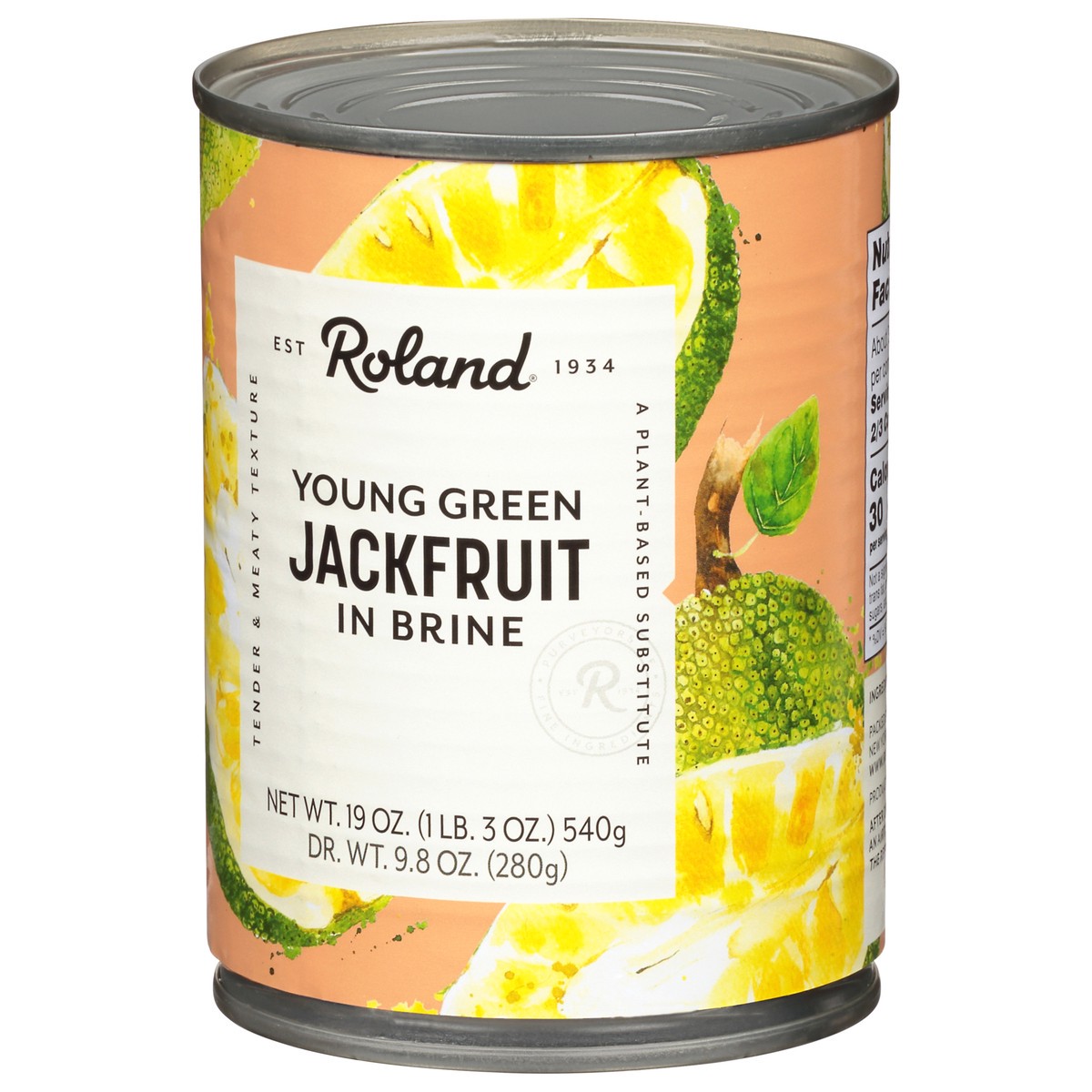 slide 9 of 13, Roland In Brine Young Green Jackfruit 19 oz, 19 oz