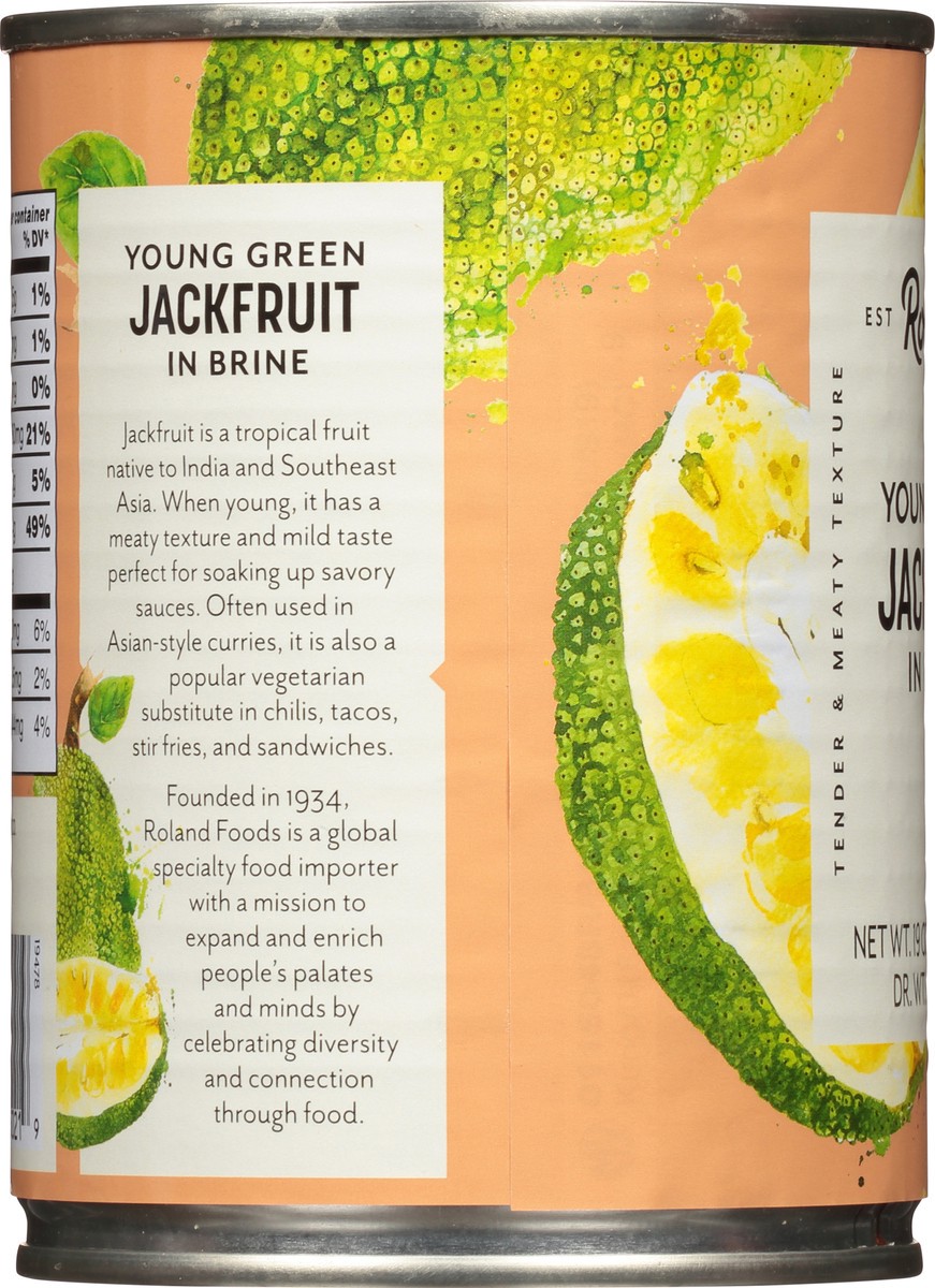 slide 12 of 13, Roland In Brine Young Green Jackfruit 19 oz, 19 oz