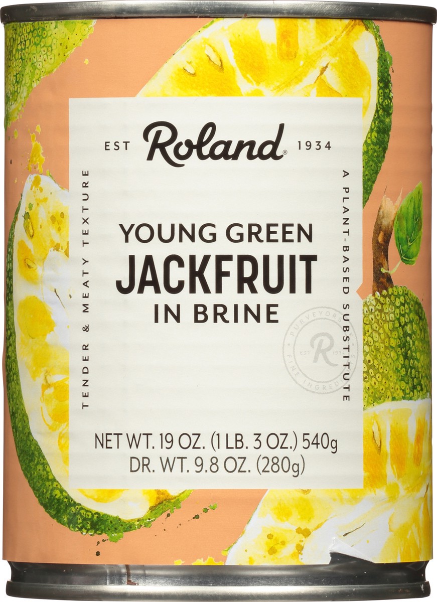 slide 5 of 13, Roland In Brine Young Green Jackfruit 19 oz, 19 oz