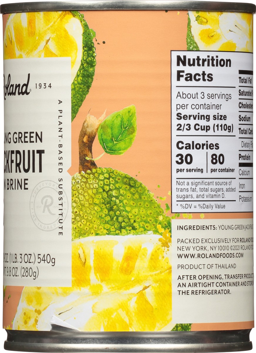 slide 11 of 13, Roland In Brine Young Green Jackfruit 19 oz, 19 oz