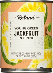 Roland In Brine Young Green Jackfruit 19 oz