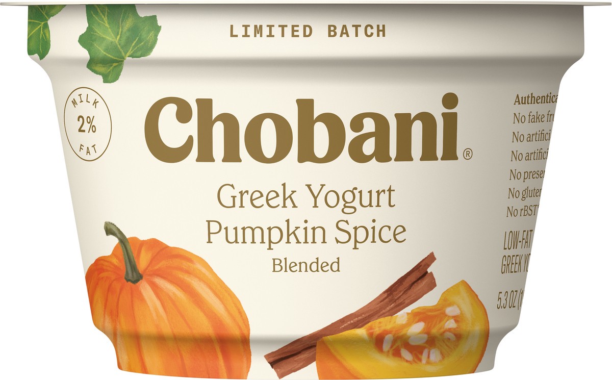 slide 3 of 7, Chobani Pumpkin & Spice Greek Yogurt, 5.3 oz